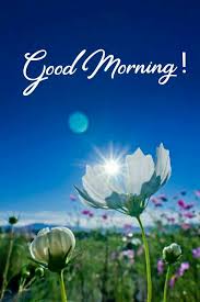 Good Morning Beautiful In 2020 Good Morning Flowers Good Morning Cards Good Morning Beautiful Images
