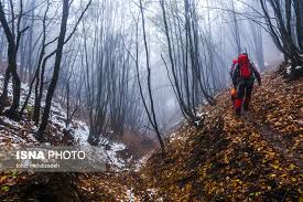 ایسنا - طبیعت پاییزی جنگل های ارسباران