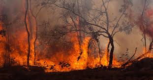 Σε εξέλιξη βρίσκεται φωτιά σε χαμηλή βλάστηση έξω από τη νικήτη χαλκιδικής. Poly Ypshlos Kindynos Pyrkagias Se 8essalonikh Kai Xalkidikh Thn Tetarth Ekklhsh Xardalia Gia Epagrypnhsh Cityportal Gr