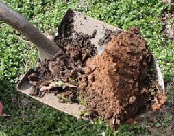 Yet many garden experts were able to combat the stubbornness of clay soil. Gardening In Carolina Clay Not For Wimps Rivendell Farms