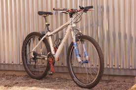 Fatmodul Sx 01 Alpha Bikes Munchen Die Bikes Der Ladies