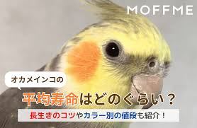 MOFFME