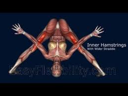 How To Kurmasana Yoga Pose Muscle Anatomy Easyflexibility Yoga Anatomy Yoga Poses Muscle Anatomy