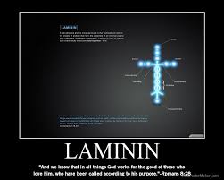 The Laminin Phenomena A Cross Shaped Cell In The Body That Is Basically Responsible For Keeping All Ce Get Closer To God Inspirational Words Basement Membrane