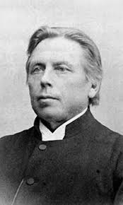 Image result for Nesaea rautanenii