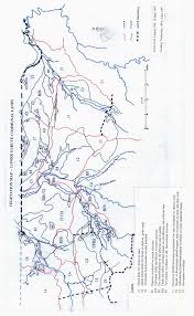 Image result for Decorsea schlechteri