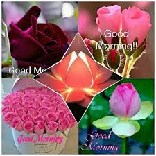 Check spelling or type a new query. Good Morning Wishes With Flowers Pictures Images Page 5