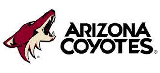 We were not able to detect your location. Pest Control Phoenix Termite Control Phoenix Az Free Consultation