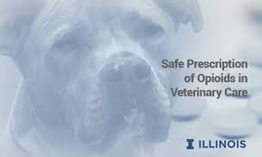 Answers to common questions from pet owners about veterinary prescriptions and pharmacies. Free Online C E On Opioid Prescribing Veterinary Medicine At Illinois
