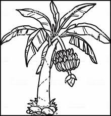 Download gambar sketsa pohon pisang 2 pohon c multimedia2000. Cara Menggambar Pohon Pisang