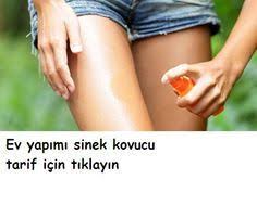 Ev Yapimi Sinek Kovucu Ciltbakimklavuzunuz Natural Insect Repellant Natural Bug Spray Natural Bug Repellent