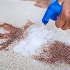 We did not find results for: 7 Uses For Oxiclean That You May Not Know About Live Like You Are Rich