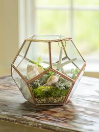 Globe Tabletop Terrarium Tabletop Terrarium Hanging Terrarium Terrarium