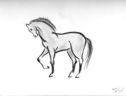 If you follow along with this simple tutorial from sketch book, you'll end up with a perfectly constructed female face. Easy Animal Sketches At Paintingvalley Com Explore Collection Of Easy Animal Sketches