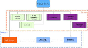 Organizational Chart Under The Supervision Of The Mobilab