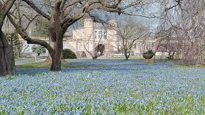 Der botanische garten karlsruhe befindet sich in karlsruhe am rande des schlossgartens westlich des karlsruher schlosses. Botanischer Garten Karlsruhe Ausflugsziele Karlsruhe