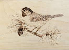 Irish, author of the great book of wood download free printable string art patterns and start your project immediately. House Sparrow Pyrography Pattern Wood Burning Pattern Digital Download Patterns Kits How To Efp Osteology Org