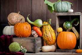 The entire pumpkin is edible but this is the tasty part you would use to make pies with! Pumpkin Varieties And Properties Enjoy Food Wine