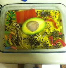 Chlorophyll, which gives plants their green color, enables them to use sunlight to convert water and carbon. Pin By Afiya Barrow France On Science Project Plant Cell Model Science Projects Cell Model