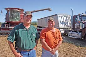 Ault brothers growing it from the ground up