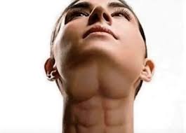 CAROLYN RODRIGUEZ & JUAN GOTTI RASHEED ETC are DOPEHOUSE they push the  brand it's their choice because they built the empire ..you can't blame 1  person in your crew to call all