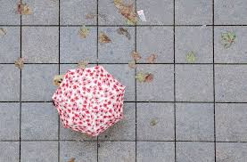 Wo der hase im pfeffer liegt, kommt hasenpfeffer auf den tisch. Wetter Im Sudwesten Sommer Am Wochenende Danach Kommt Der Herbst Baden Wurttemberg Stuttgarter Zeitung