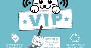 vip計劃 hong kong wifi pocket wi fi pocket wifi kong wifi
