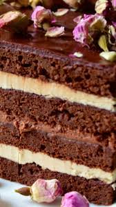 Opera Cake Opera Cake Cake Recipes Chocolate Ganache Recipe