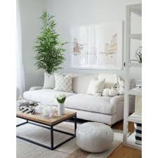 A bit of green makes life better. Floor Bamboo Plant Small Living Room Decor Living Room Scandinavian Apartment Living Room