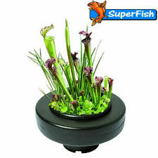 Maybe you would like to learn more about one of these? Floating Plant Basket Garden Water Feature Fish Pond Plants Superfish 30cm Xl For Sale Online Ebay