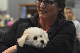 Groomalong Extravaganza August 2018