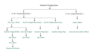 divisional district level organization structure