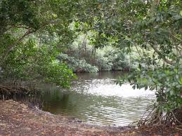 Hutan hujan tropika, hutan pantai, hutan gunung, hutan paya air masin, hutan paya air tawar, suria, tanih laterit, tanih gambut, sumber tidak boleh baharu: Tanah Lembap Wikipedia Bahasa Melayu Ensiklopedia Bebas