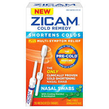 Zicam Cold Remedy Nasal Swabs Cooling Menthol Eucalyptus 20ct Cold Remedies Cold And Cough Remedies Cold Medicine