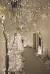 Office Christmas Decorating Contest Ideas