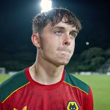 Wolves Academy's Video