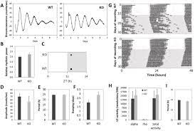 Check spelling or type a new query. A Clock In Mouse Cones Contributes To The Retinal Oscillator Network And To Synchronization Of The Circadian System Biorxiv