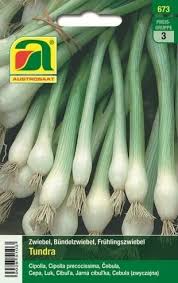 Die besten pinnwände von frühlingszwiebel. Austrosaat Fruhlingszwiebel Tundra 1 Packung Bloomling Deutschland
