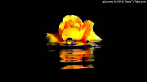 Şi tot felul de legume, de nu le mai ştii pe nume. Nostalgie Demostene Botez Youtube