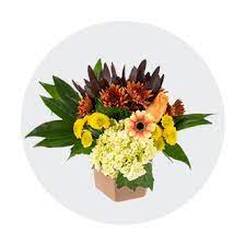 Discount applied automatically in cart. Fred Meyer Flowers Floral Arrangements
