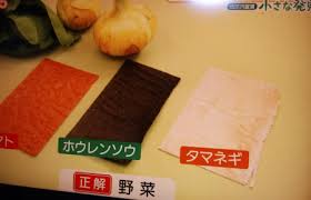 三越伊勢丹新宿店においてぱっ葉販売 ぱっ葉 農園