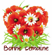 RÃ©sultat de recherche d'images pour "gif bonne semaine"