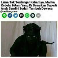Padahal bbm gratis di playstore. Lama Tak Terdengar Kabarnya Malika Kedelai Hitam Yang Di Besarkan Seperti Anak Sendiri Sudah Tumbuh Dewasa Wah Ini Kabar Terkini Dari Malika By Drherp Meme On Me Me