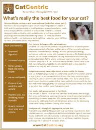 Special Features One Page Guides What S Really The Best Food For Your Cat Best Cat Food Cat Nutrition Raw Cat Food Recipes