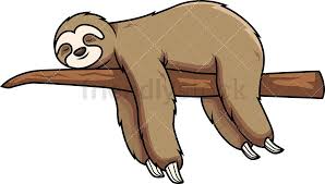 Mn2s is an international music, entertainment and talent booking agency. Sloth Sleeping On Tree Branch Cartoon Vector Clipart Friendlystock Sloth Drawing Sloth Art Cartoon Clip Art