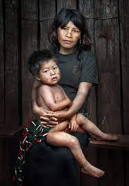 Over the next century and a half, 30 missions were built — 15 in argentina, eight in paraguay and seven in brazil. Mbya Guarani People Of Argentina