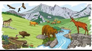 Ecología conjunto que forman un medio natural y los seres vivos que habitan en él y sus interacciones mutuas la acción humana está alterando los. Ecosistemas Biosfera Youtube