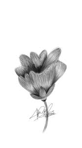 Download sketsa gambar guci aliransket via aliransket.blogspot.com. 48 Sketsa Gambar Bunga Arsir Terbaru Lingkar Png