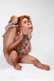 Please email the gallery for any inquiries. Patricia Piccinini The Institute For Cultural Exchange