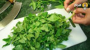 6 فوائد تمنحها الملوخي ة للصح ة arabic food food spinach